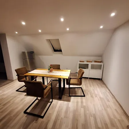 Grosszuegige 100 M2 Mit Terrasse Apartment Linz