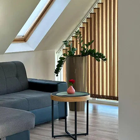 Grosszuegige 100 M2 Mit Terrasse Apartment *